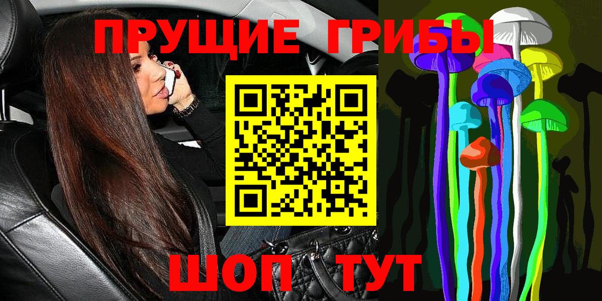 Псилоцибиновые грибы ЛСД  закладки  Усть-Джегута  Вход с VPN 