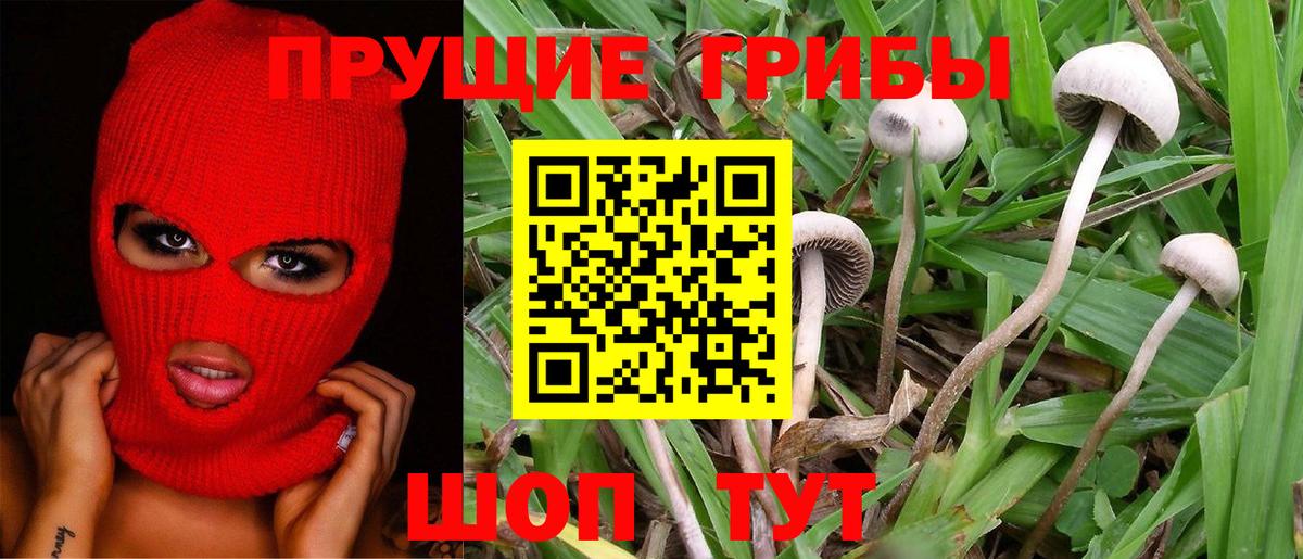A PVP Усть-Джегута